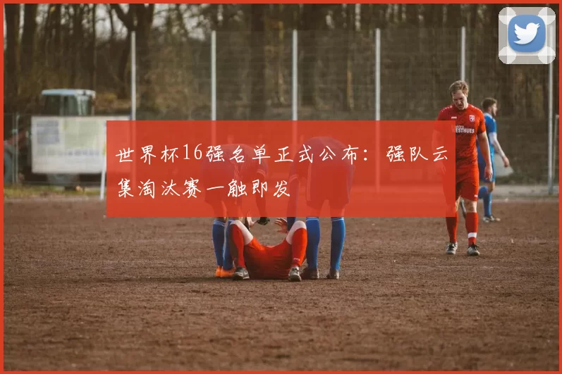 世界杯16强名单正式公布：强队云集淘汰赛一触即发