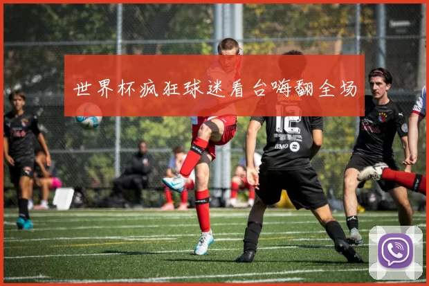 世界杯疯狂球迷看台嗨翻全场