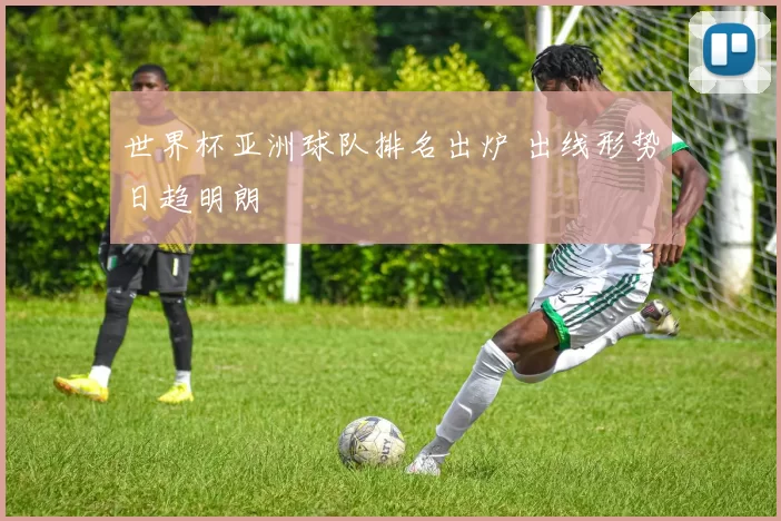 世界杯亚洲球队排名出炉 出线形势日趋明朗