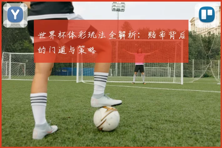 世界杯体彩玩法全解析：赔率背后的门道与策略
