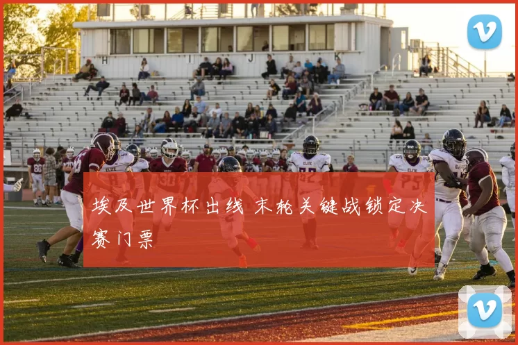 埃及世界杯出线 末轮关键战锁定决赛门票