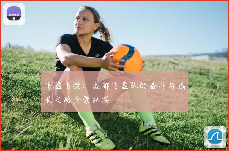飞盘飞扬:成都飞盘队的奋斗与成长之路全景纪实