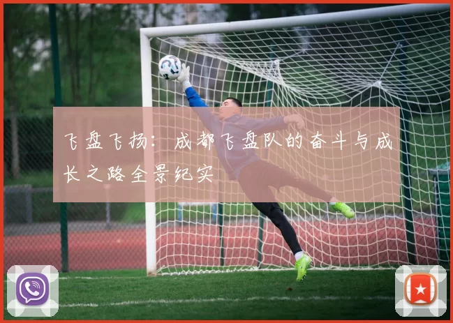 飞盘飞扬：成都飞盘队的奋斗与成长之路全景纪实
