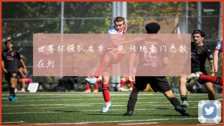 世界杯强队名单一览 传统豪门悉数在列