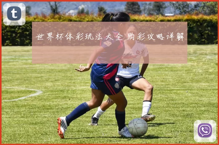世界杯体彩玩法大全 购彩攻略详解